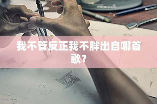 我不管反正我不胖出自哪首歌？
