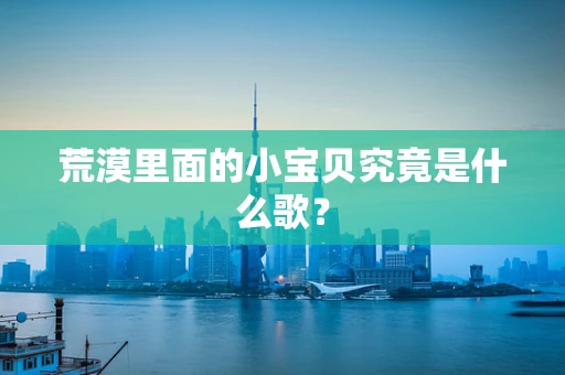荒漠里面的小宝贝究竟是什么歌？
