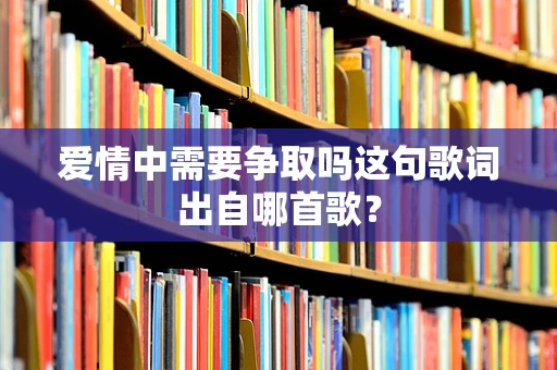 爱情中需要争取吗这句歌词出自哪首歌？
