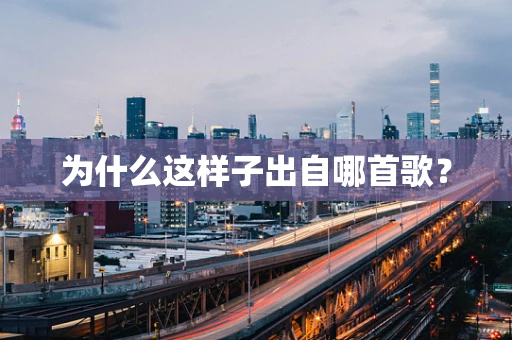 为什么这样子出自哪首歌？