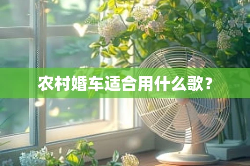 农村婚车适合用什么歌？