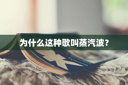 为什么这种歌叫蒸汽波？