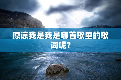 原谅我是我是哪首歌里的歌词呢？