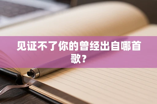 见证不了你的曾经出自哪首歌？