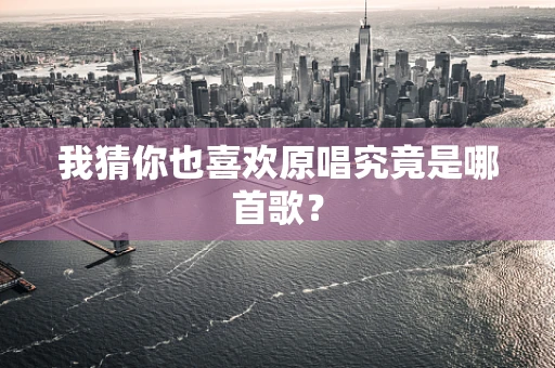 我猜你也喜欢原唱究竟是哪首歌？