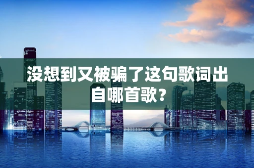 没想到又被骗了这句歌词出自哪首歌？
