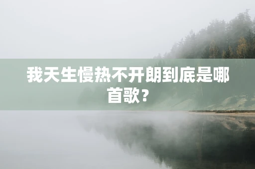 我天生慢热不开朗到底是哪首歌？
