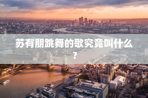 苏有朋跳舞的歌究竟叫什么？