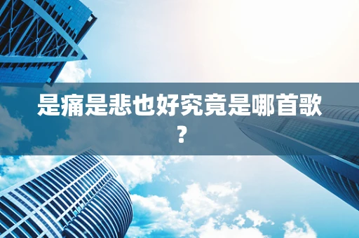 是痛是悲也好究竟是哪首歌？