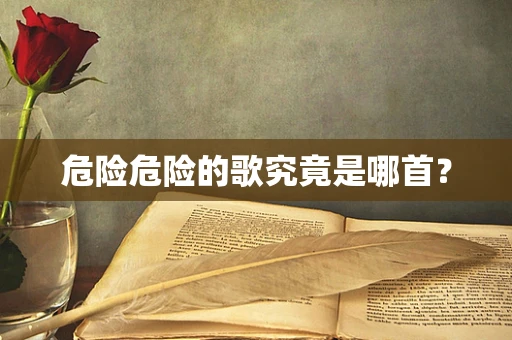 危险危险的歌究竟是哪首？
