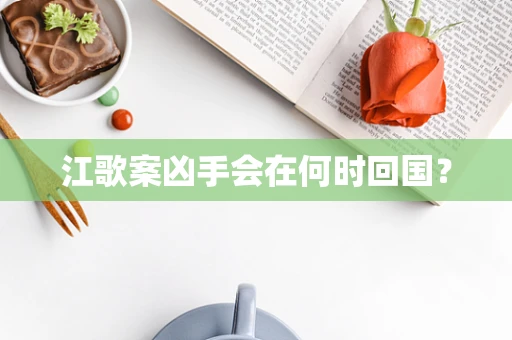 江歌案凶手会在何时回国？