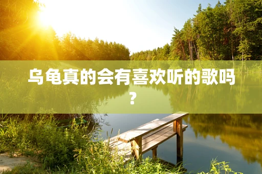 乌龟真的会有喜欢听的歌吗？