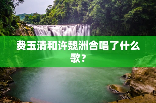 费玉清和许魏洲合唱了什么歌？