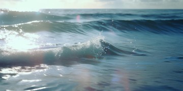 浪花一朵出自哪首歌？