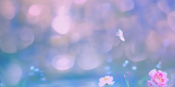 想留住心中的美好究竟是哪首歌？