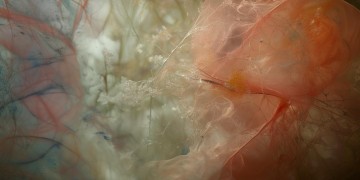 你的美究竟出自哪首歌？