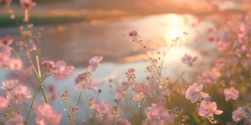 歌词有爱和情的歌究竟有哪些？