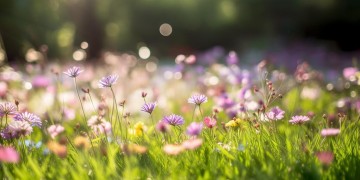 残疾大哥唱什么歌会好听呢？