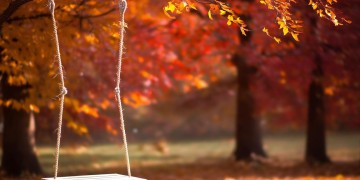 和我的秋千究竟是哪首歌？