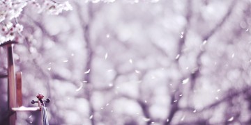 我的爱情很简单到底是哪首歌？