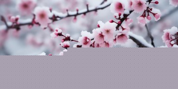 梅马冬梅出自哪首歌？