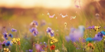 喜乐是我要赞美你究竟是哪首歌？