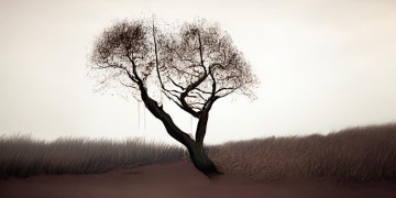 我和她还能走多远究竟出自哪首歌？