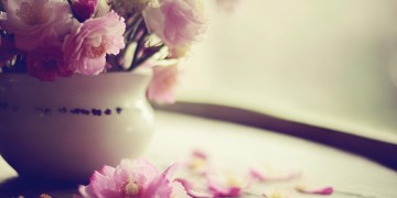 不让你受委屈也愿意这句歌词出自哪首歌？