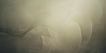糊里又糊涂究竟出自哪首歌？
