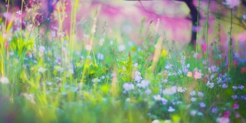 春天敞开怀抱究竟出自哪首歌？