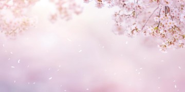 再也没有勇是哪首歌里的歌词？