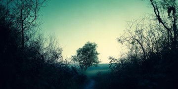 誓言终成谎言出自哪首歌？