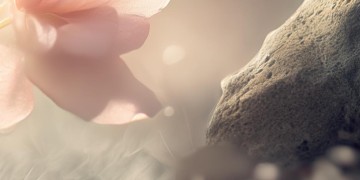 细腻柔软和我相反究竟是哪首歌？