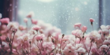 爱的人不需要爱究竟是哪首歌？