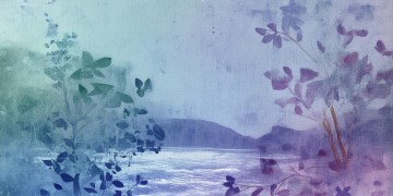 35651765究竟是什么歌？