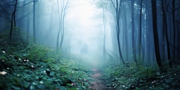 见证不了你的曾经出自哪首歌？