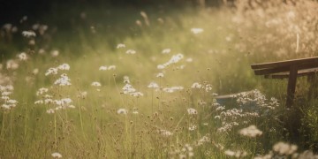 人生都有一个故事究竟是哪首歌？