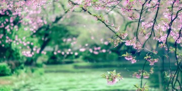 盛春里的回忆究竟是什么歌？