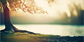 离开就是不舍到底是哪首歌？