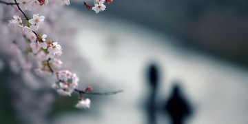 爱情上无情的打击究竟是哪首歌？