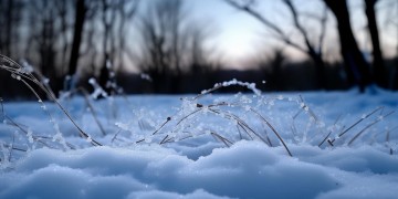 跳舞的线寒冬究竟是什么歌？