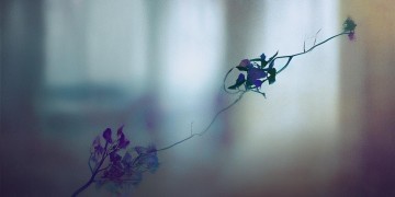 可你已不在我的身边究竟是哪首歌？