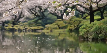 最爱日剧第一集用的是什么歌？