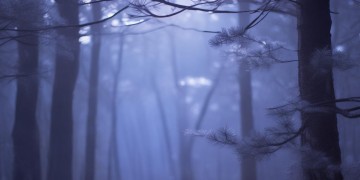 就像时间的画面这句歌词出自哪首歌？