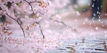 到底人间留不住是哪首歌？