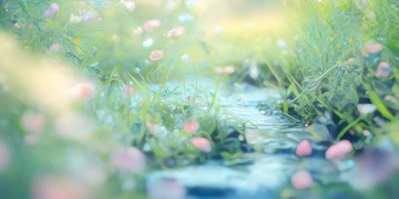 我幸运我遇见你究竟是哪首歌？