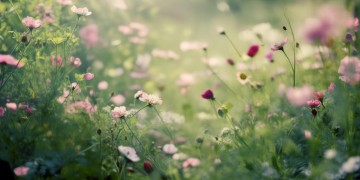 转身嫁给了别人这句歌词出自哪首歌？