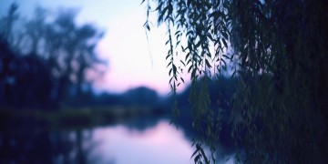 许巍的歌为何搜不到了？