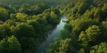 这世界真的没有纯友谊的歌吗？