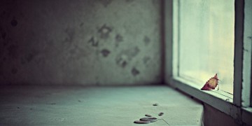 刚刚开始就老了这句歌词出自哪首歌？